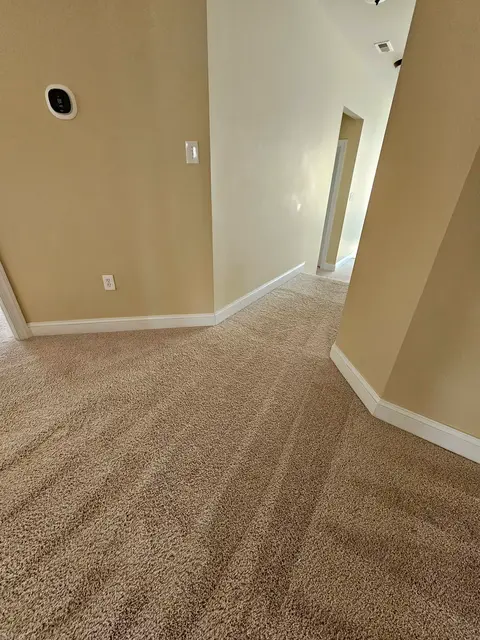 Move-Out Cleaning